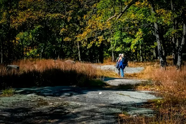 Castle in Muszyna with tower and viewpoint
