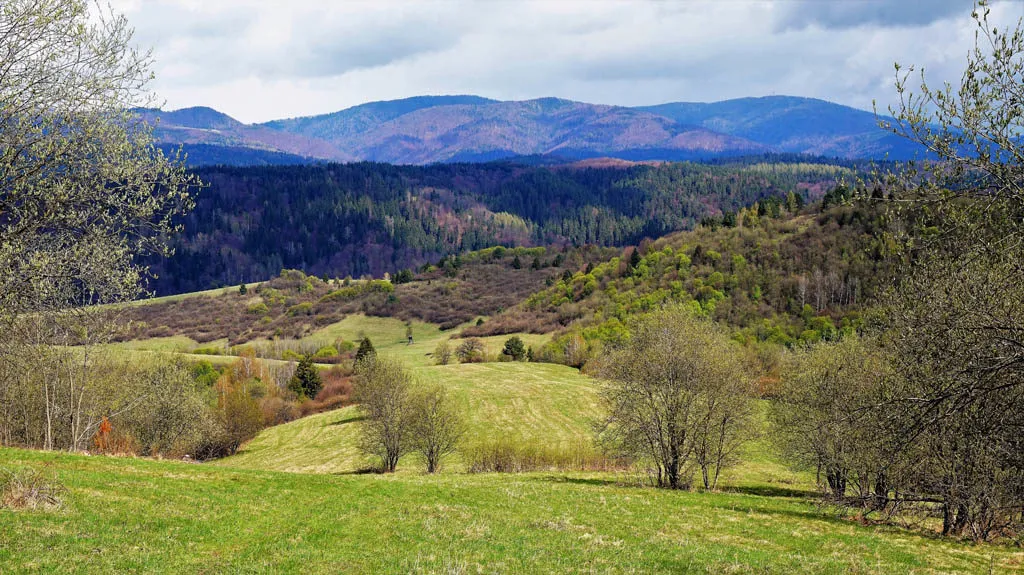 Biblical Gardens in Muszyna