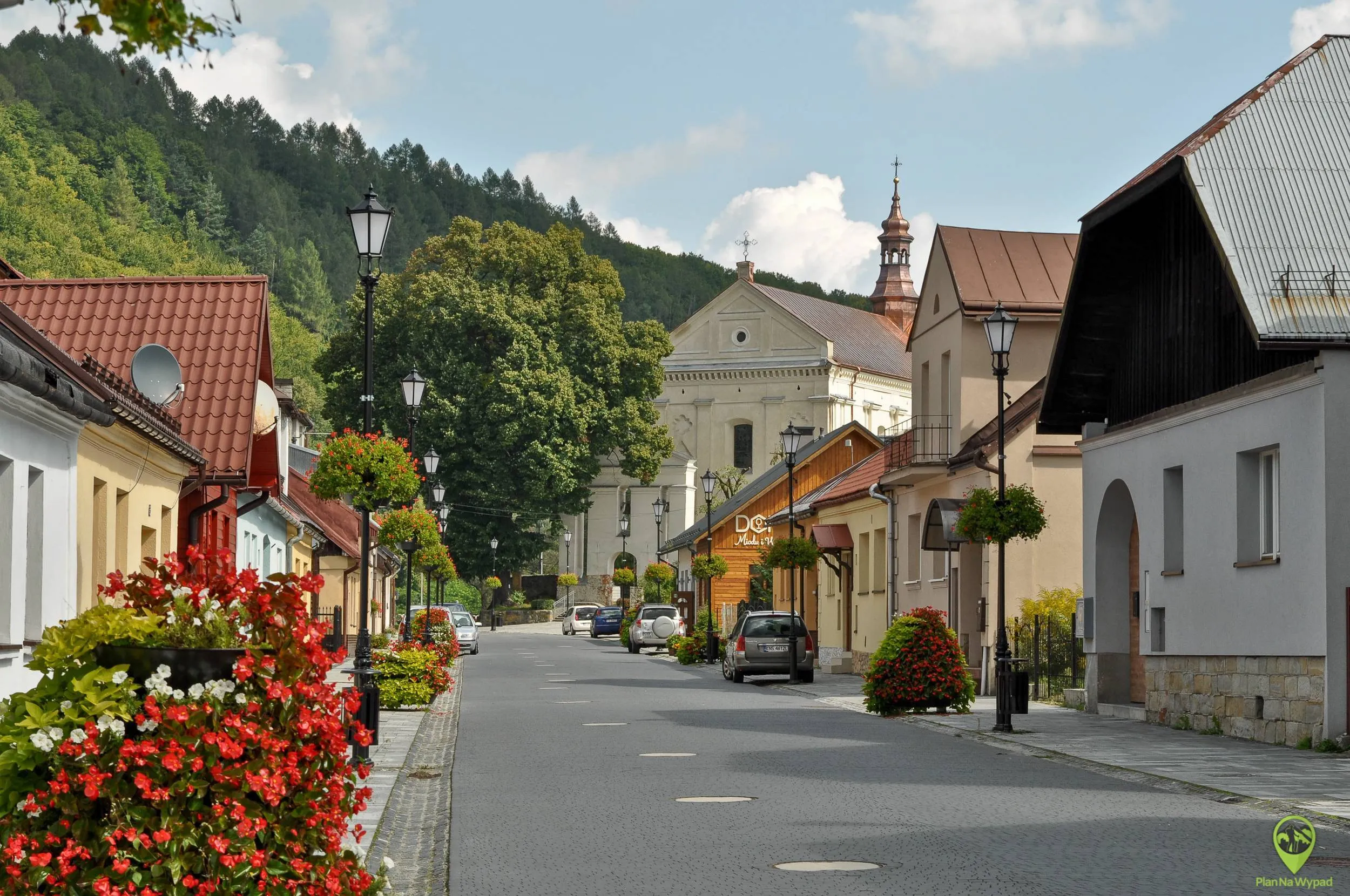 View of the castle in Muszyna